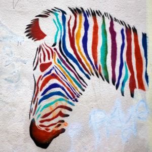 Meet your Posher, Eastwood Reynolds